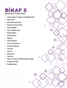 BİYOTİK - 2026 - 11. Sınıf Maarif KAF - 5